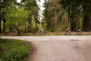 affordable budget new forest