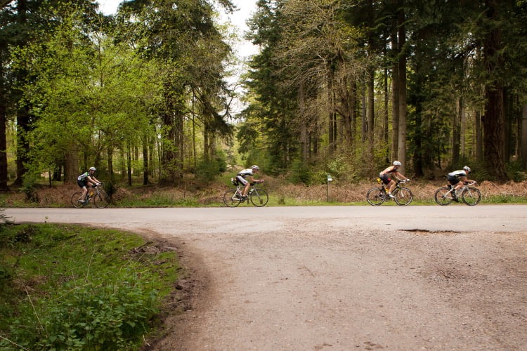 affordable budget new forest