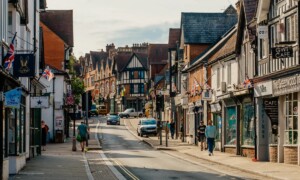 Lyndhurst New Forest Guide