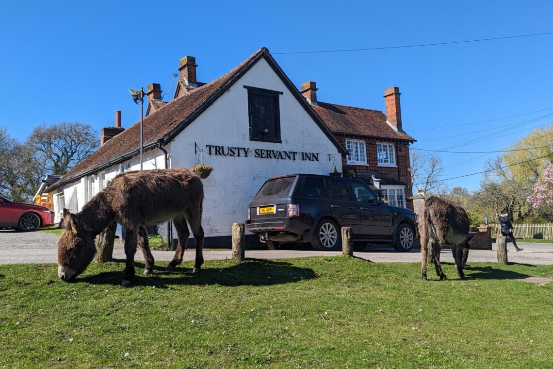 The trusty servant, Minstead