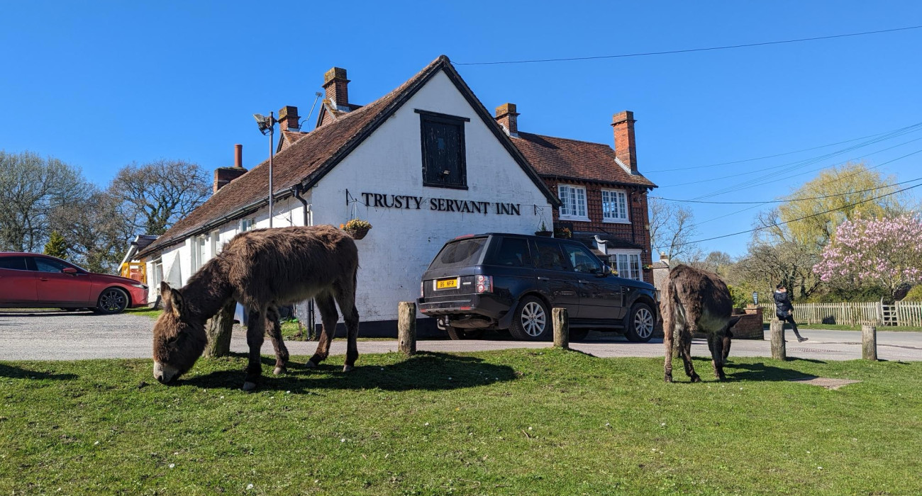 The trusty servant, Minstead