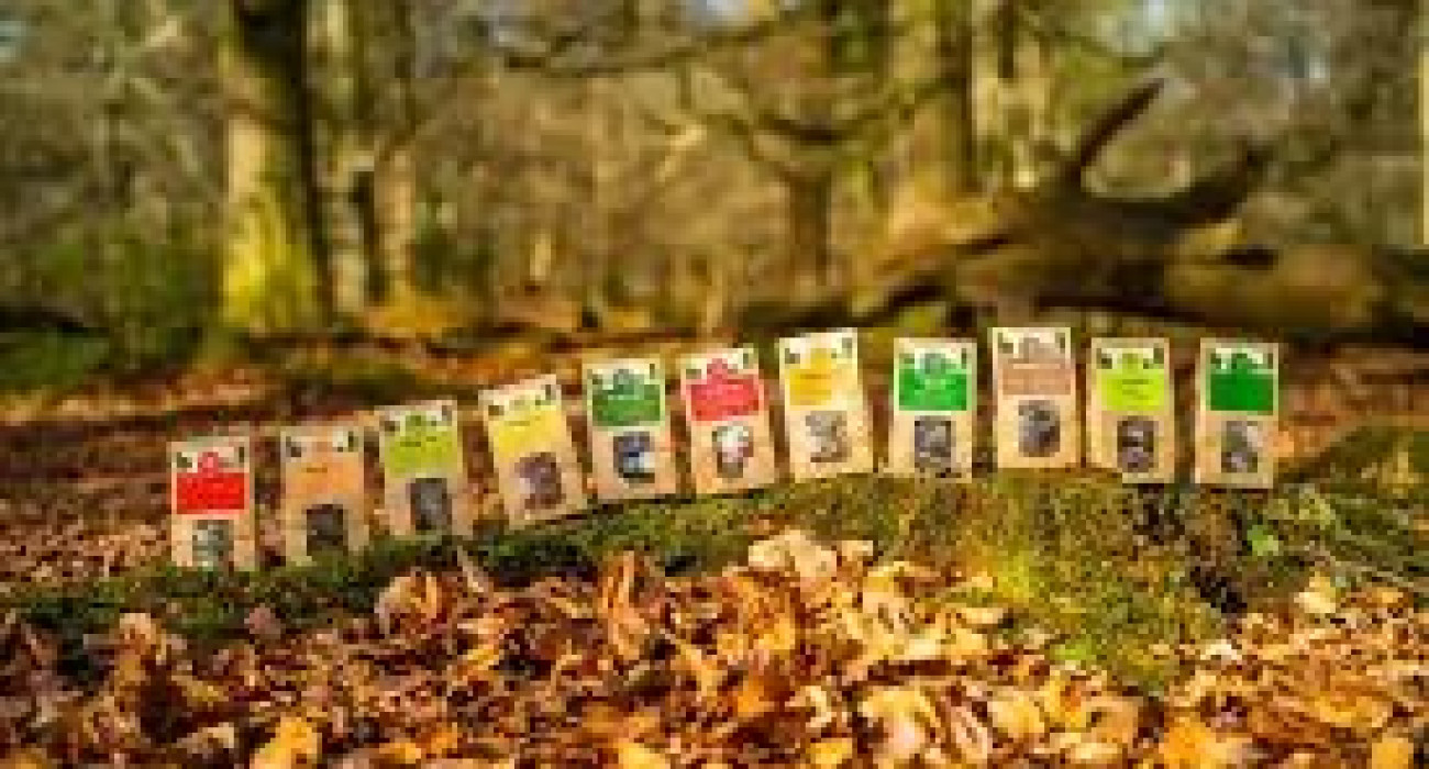 New Forest Gift Guide