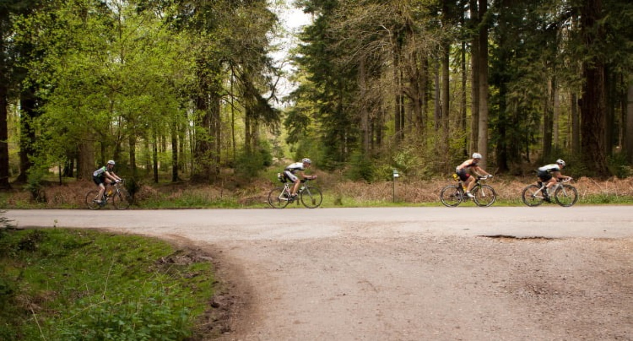 affordable budget new forest